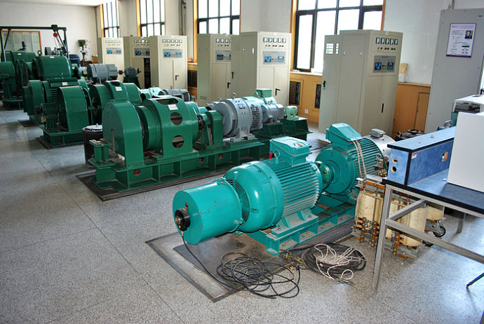 ZSN4-315-12某热电厂使用我厂的YKK高压电机提供动力
