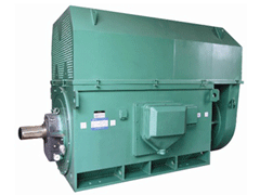 ZSN4-315-12Y系列6KV高压电机